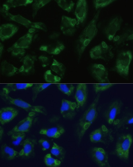 产品细节图片20