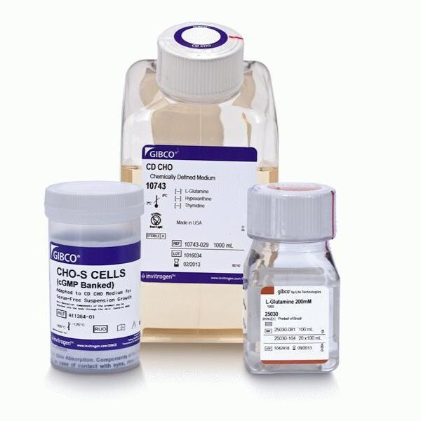 CHO-S 细胞(cGMP 库存)与培养基试剂盒