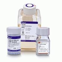 CHO-S 细胞（cGMP 库存）与培养基试剂盒