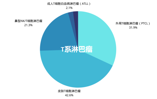 基于IG/TCR的淋巴瘤 NGS-MRD 检测全解析：精准追踪微小残留病灶，为诊疗保驾护航