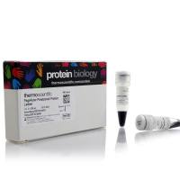 预染蛋白marker (10-170KD),PageRuler Prest Protein Ladder,Thermo 26616/26617