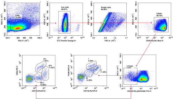 实验数据稳了！Elabscience 组织驻留巨噬细胞检测方案全解析