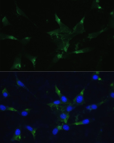 产品细节图片17