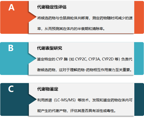 仓鼠微粒体 1.png 仓鼠微粒体 1.png