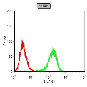 DCX Mouse mAb[63535]