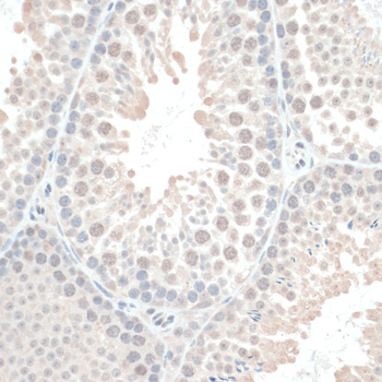 产品细节图片10