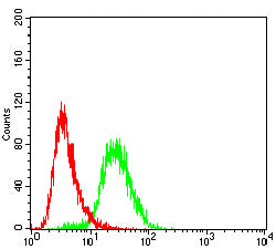 MAGEA4 Mouse mAb[63896]