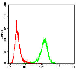 RHOA Mouse mAb[64181]