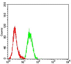 MSLN Mouse mAb[63954]
