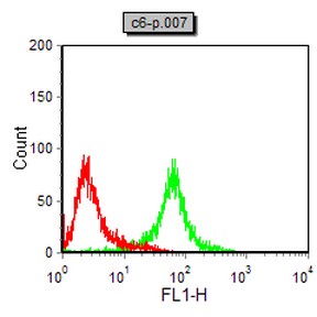 DCX Mouse mAb[63535]
