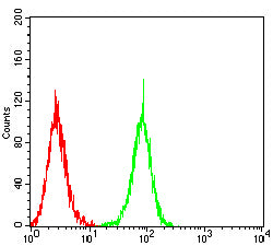 TDP43 Mouse mAb[64305]