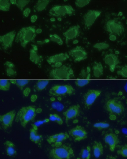 产品细节图片16