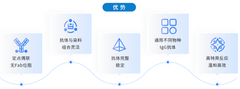 Elabscience®荧光偶联技术优势