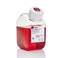 Advanced DMEM/F-12 12634010