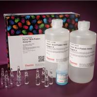 Pierce™ BCA 蛋白检测试剂盒 23225