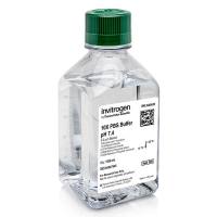 PBS - 磷酸盐缓冲盐水 (10X),pH 7.4,无 RNase,AM9625