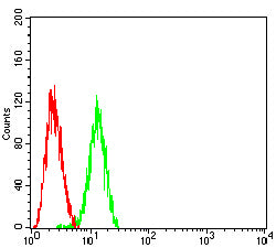 BRAF Mouse mAb[63162]