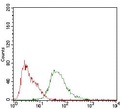 SDC1 Mouse mAb[64213]