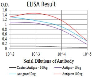 CD207 Mouse mAb[63293]