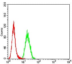 Dynamin-2 Mouse mAb[63568]