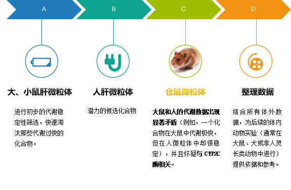 仓鼠微粒体 2.png 仓鼠微粒体 2.png