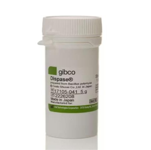 Dispase II, powder 17105041 Invitrogen