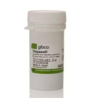 Dispase II, powder 17105041 Invitrogen