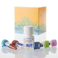 Glucose-Glo™ Assay