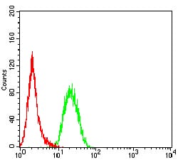 KMT5A Mouse mAb[63841]