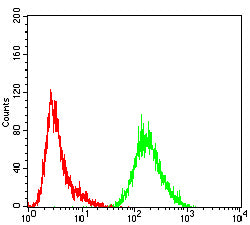 LRRK2 Mouse mAb[63887]