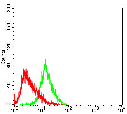 CD82 Mouse mAb[63424]