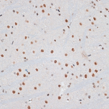 产品细节图片12