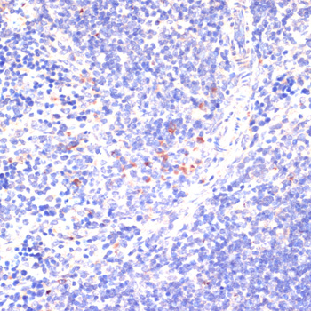 产品细节图片10