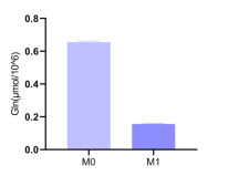 M1型极化后，细胞内的谷氨酰胺减少