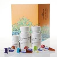 Malate-Glo™ 苹果酸检测系统