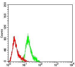 NFKB2 Mouse mAb[63999]