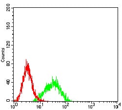 ALDOA Mouse mAb[63050]