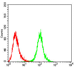 NEDD9 Mouse mAb[63991]