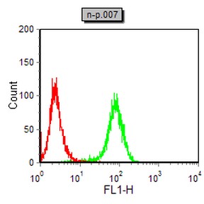 DCX Mouse mAb[63535]
