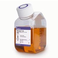 KnockOut™ 血清替代物 10828028