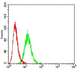 DYRK4 Mouse mAb[63570]