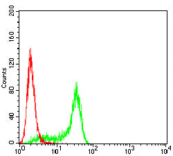 TMEM119 Mouse mAb[64328]