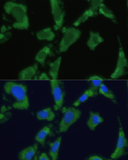 产品细节图片11