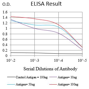 LMNB1 Mouse mAb[63874]