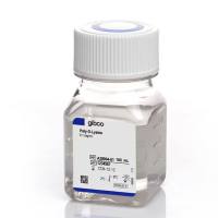 多聚-D-赖氨酸 A3890401