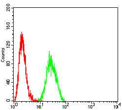 HLA-F Mouse mAb[63740]