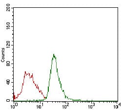 RB1 Mouse mAb[64173]