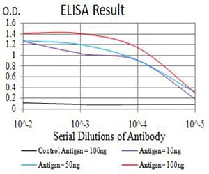 Phospho-4E-BP1 (Ser65) Mouse m
