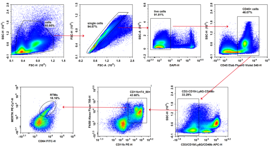 Balb/c小鼠骨髓细胞流式抗体染色并分析结果检测结果