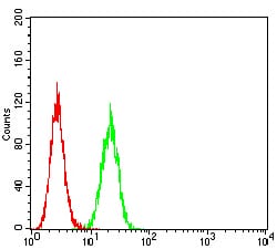 GLRB Mouse mAb[63672]